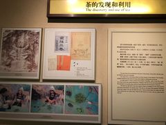 -中国茶叶博物馆(双峰馆区)