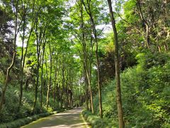 -宜兴龙背山森林公园