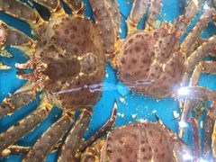 -盒马鲜生(皇庭广场店)