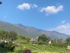 -云禾壹海景庄园餐厅