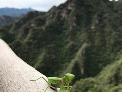 -十渡东湖港风景区