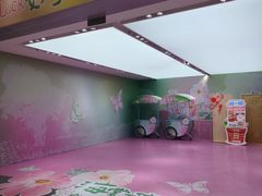 -凯德MALL(望京店)