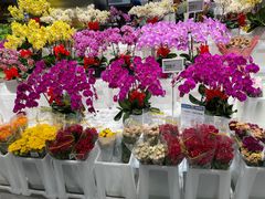 -盒马X会员店(王府井奥莱UP TOWN店)