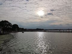 -鹅湖玫瑰文化园