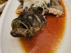 东星斑-海景壹号大酒店(惠钱路店)