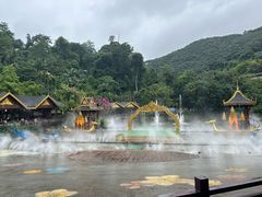 -西双版纳原始森林公园
