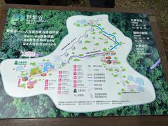 -野象谷景区