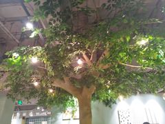 -仙踪林(江南西店)