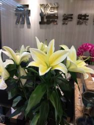 -永琪美容美发全国直营连锁