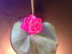 iphone_upload_pic-王家渡火锅(金宝汇店)