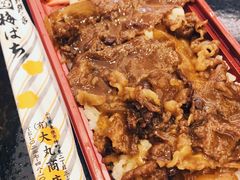 -圣淘沙名胜世界