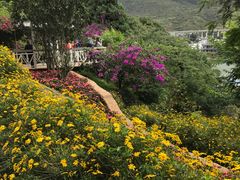 -南诏风情岛