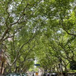 -海豚湾高端月子会所(黄浦店)