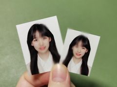 -小树照相馆·证件照(打浦桥店)