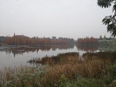 -白鹭湾湿地公园