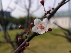 -常州花鸟园酒店(西太湖品牌优选店)