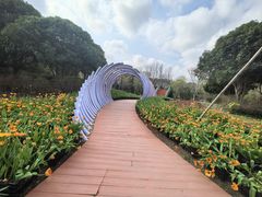 -上海鲜花港