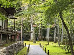 -三千院