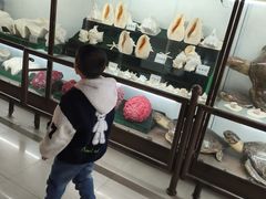 -自然谷恐龙园