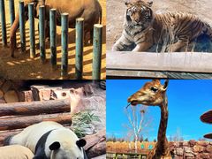 -济南野生动物世界