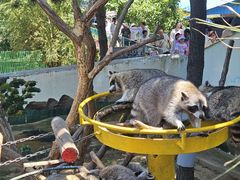 -西霞口神雕山野生动物世界