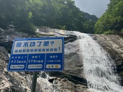 -青峰峡国家森林公园