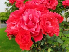 -无锡市市民中心