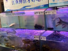 水产区-胖姐渔村(中源大道店)