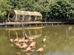 -大湾区中央湿地公园