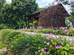 -福建鲤鱼洲酒店