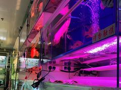 -华声天桥民俗文化园