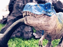 -斯坦星球AI编程·机器人科创·科学实验·信奥·思维·STEM·乐高·竞赛考级(长宁虹桥大融城荟聚中心)