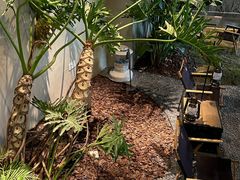 -J Create城市露营咖啡·简餐·宠物(上海动物园店)