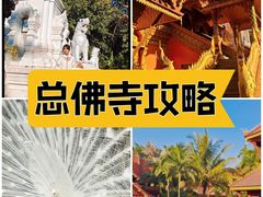 -西双版纳总佛寺