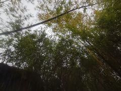 -森波拉火山温泉