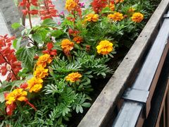 android_upload_pic-黔蘑菇四季餐厅(观山湖店)