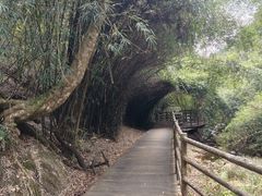 -梁野山景区