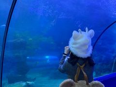 -左海海底世界