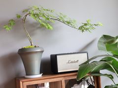 -一叶觅山(半边街店)