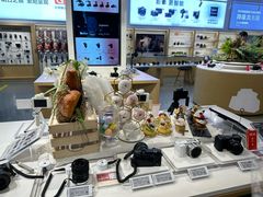 -Sony Store 索尼(上海淮海中路店)
