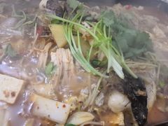 -浔味·山屿湖·正宗淳牌全鱼宴老字号