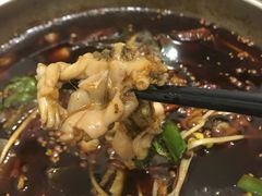-邱氏胖泥鳅(大堰店)