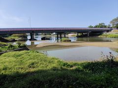 -广东花都湖国家湿地公园