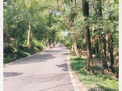 -蜀冈西峰生态公园