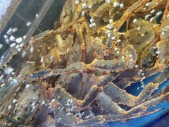 -蟹之国·精品蟹料理(极地店)