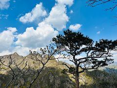 -大连天门山国家森林公园