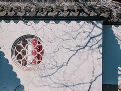 -梅花山(明孝陵内)