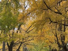 -四川大学(华西校区)