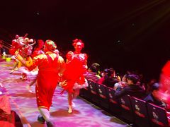 -珠海横琴长隆《卡卡虎奇遇记》