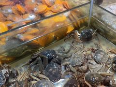 -领鲜活海鲜榴莲自助火锅(东门店)